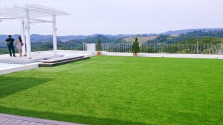 Artifical Grass